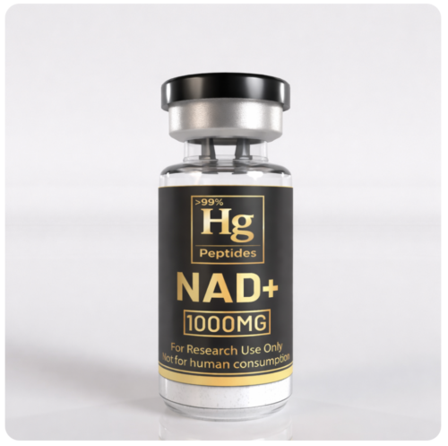 NAD+1000 NAD+ 1000MG